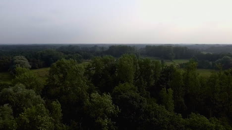 Ein-Drohnenflug-über-Den-Wald-Und-Das-Dorf-Kempen-In-Belgien-In-Der-Nähe-Von-Antwerpen