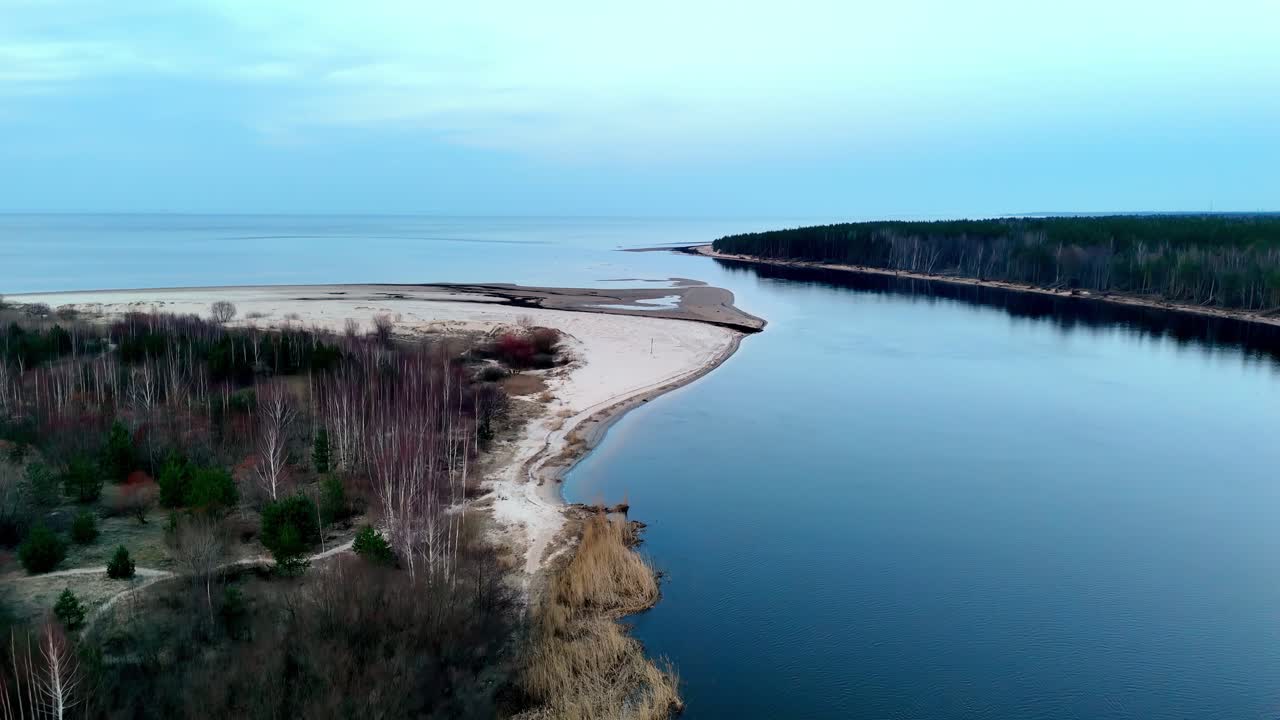 drone aéreo paisaje panorámico de las aguas del río que entran en el océano arenas blancas árboles del bosque amplio paisaje, fondo del horizonte, entorno natural