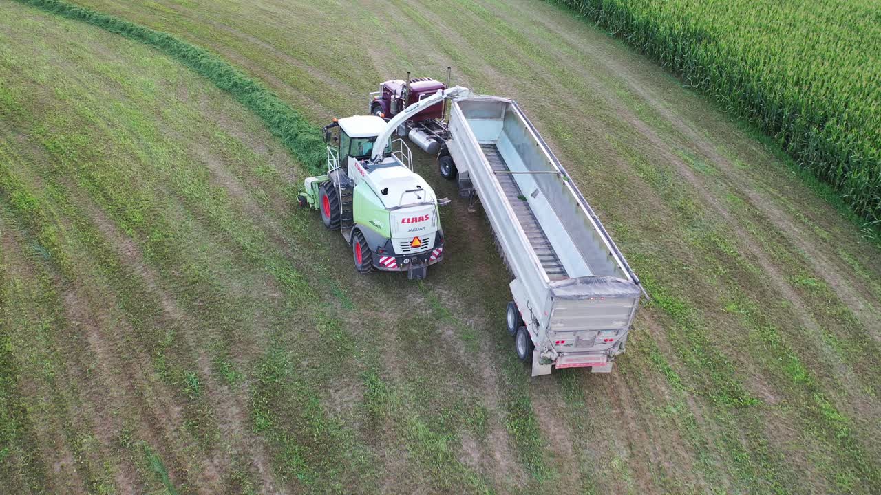 을 수확 하는 공중 에서 볼 수 있는 모습