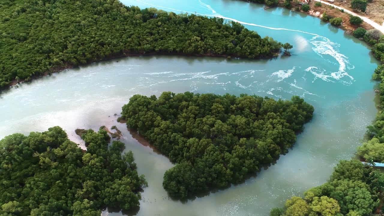vista aérea del pantano de manglar en tanzania