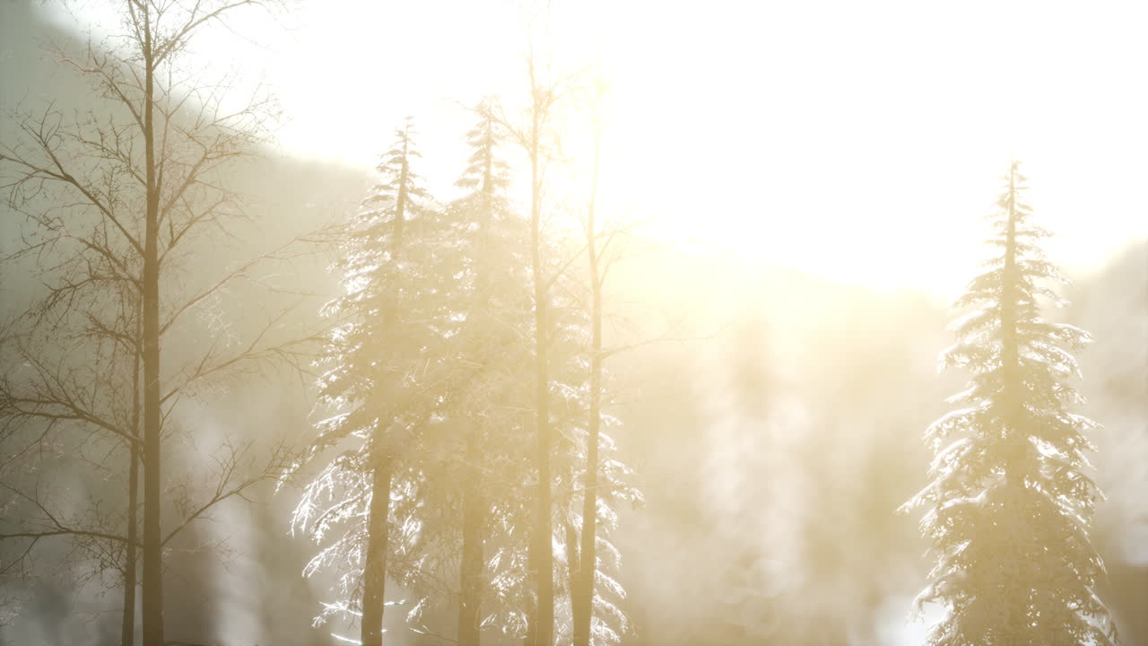 산에서 극적인 겨울 해가 뜨는 모습