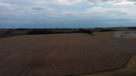 High-aerial-flight-over-standing-wheat-field-in-Alberta-Canada