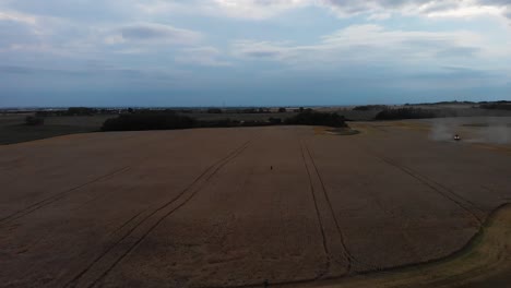high aerial flight over standing wheat field in alberta canada