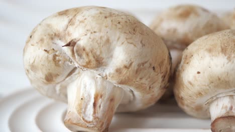 close-up of fresh button mushrooms