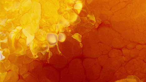 fiery red and yellow liquids blend in a mesmerizing macro view of swirling patterns and textures