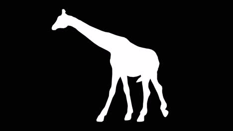 Eine-Giraffe-Läuft-Auf-Schwarzem-Hintergrund-Mit-Alphakanal-Am-Ende-Des-Videos,-3D-Animation,-Seitenansicht,-Animierte-Tiere,-Nahtlose-Schleifenanimation