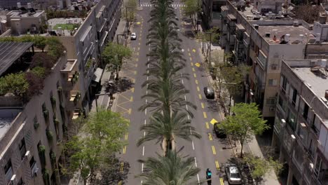 aerial view of a city street with palm trees and buildings