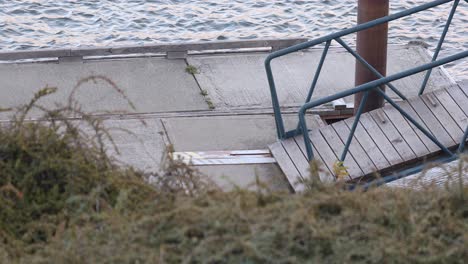 gangway to enter boat, floating dock shaking on silver river water close up