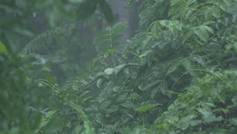 in the rainy season, eastern india receives heavy rainfall during the rainy season