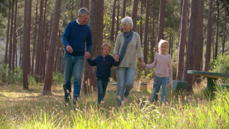 senior couple walking with grandchildren in the countryside