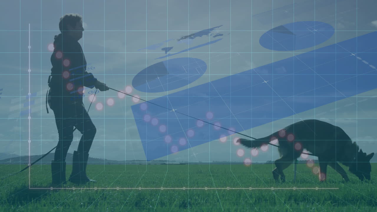Silhouette adult walking dog across grassy field, displaying tech grid charts and graph overlays