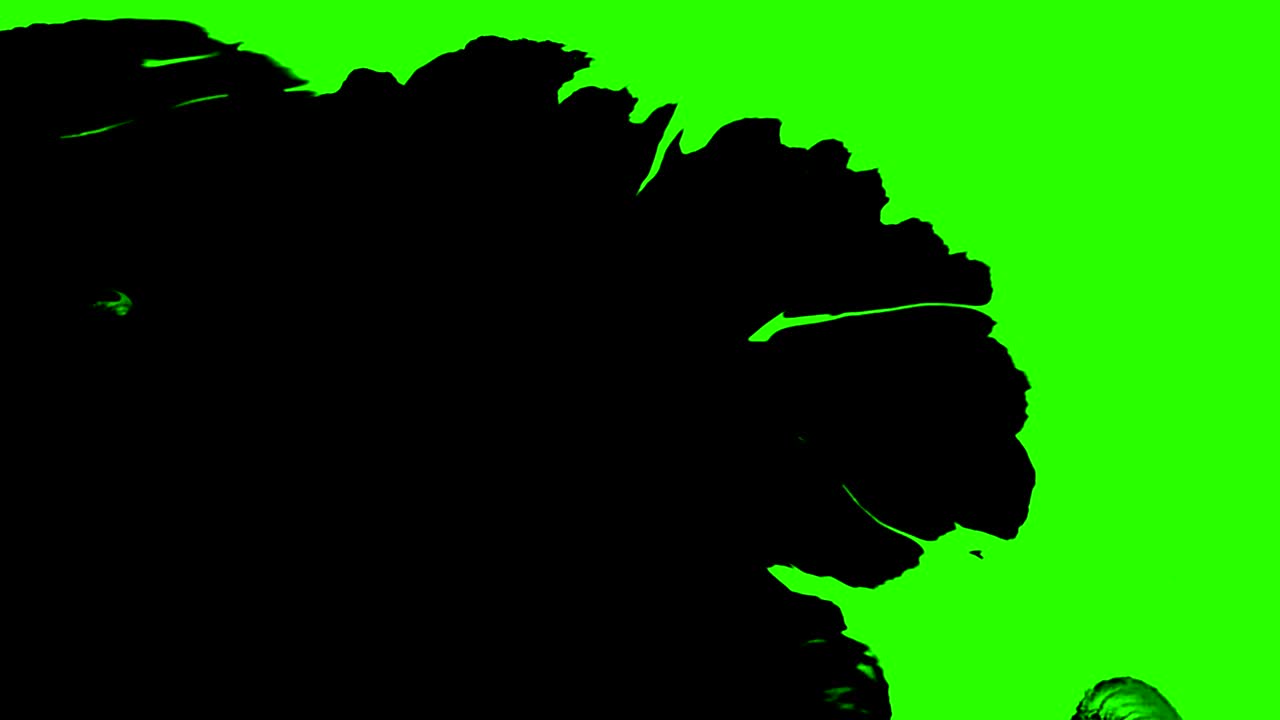 abstract multi salpicaduras de tinta de pintura pincel trazo transición negra en croma tecla fondo de pantalla verde, animación de la pintura