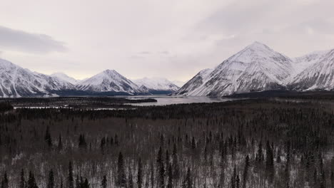 flying over the pine forest towards the kathleen lake with snowy mountains in yukon, canada. - aerial shot