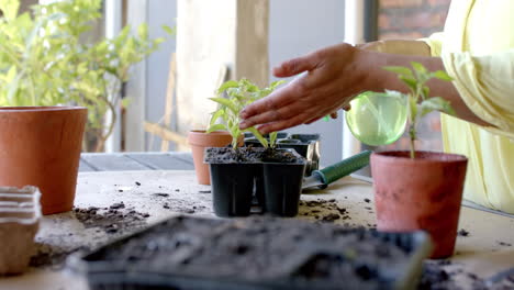 una mujer biracial está regando plantas en macetas en el jardín en casa, en cámara lenta.