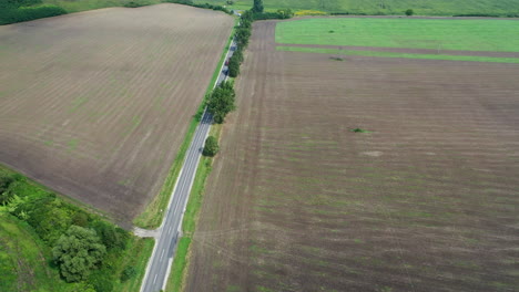 Fliegen-über-Landstraße,-Umgeben-Von-Feldern,-Drohnenaufnahme-Aus-Der-Luft