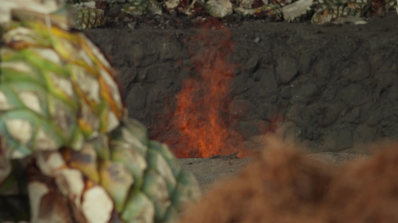 Forno tradizionale sotterraneo per mezcal con fiamme vive durante il processo di tostatura dell'agave, una calda fiamma rossa danza al rallentatore, messa a fuoco selettiva sulle piante.