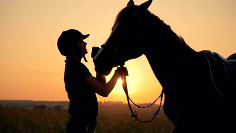 jockey lady is stroking a mare in the open air