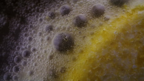 lemon and water bubbles