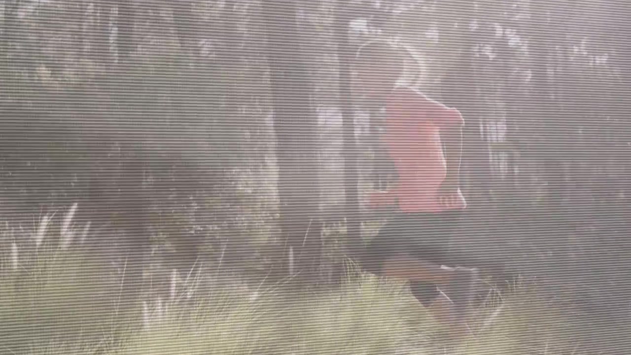 Woman entering from right and sprinting across forest clearing, fitness demo showing scanline haze