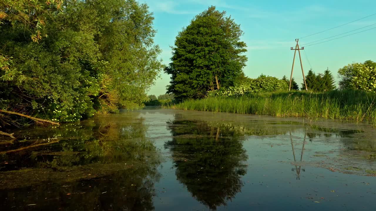 hermoso tiro reflexivo del prado del lago de ángulo bajo