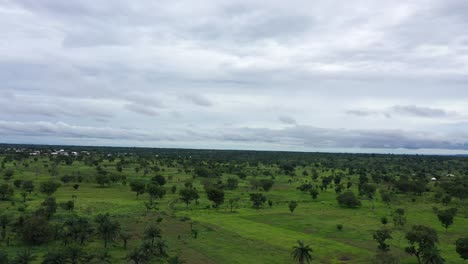 calm natural  green vegetation with clouds