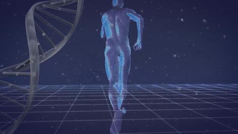 animación de cadenas de adn y formas humanas que corren sobre ellas