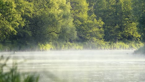 Verdunstendes-Wasser-Aus-Einem-Fließenden-Fluss-An-Einem-Sonnigen-Morgen