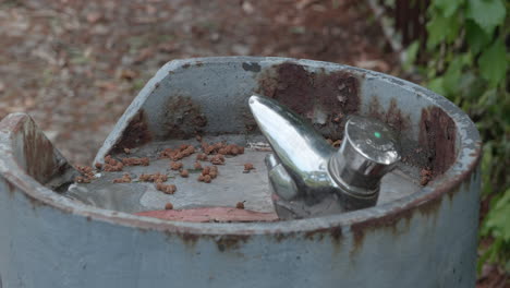 water source in a natural park