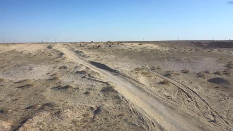 Algunos-Camellos-En-El-Desierto-Cerca-Del-Mar-Camellos-Desierto-Y-Mar