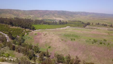 Vista-Aérea-De-Una-Granja-De-Aguacates-En-El-Sur-De-California-En-Un-Día-Cálido-Y-Soleado-Con-Un-Campo-De-Golf-Y-Montañas-Al-Fondo