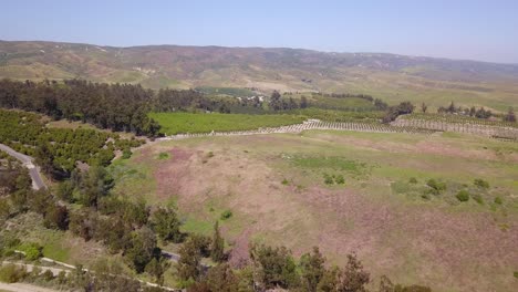 vista aérea de una granja de aguacates en el sur de california en un cálido día soleado con un campo de golf y montañas en el fondo