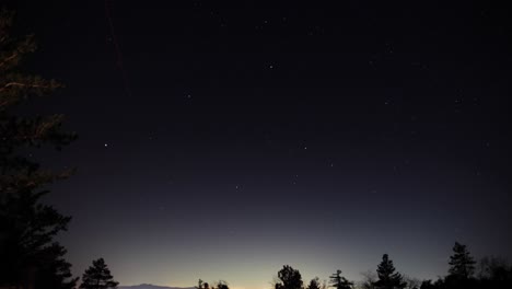 un impresionante lapso de tiempo de las estrellas moviéndose sobre los árboles en la noche y estrellas fugaces en el fondo