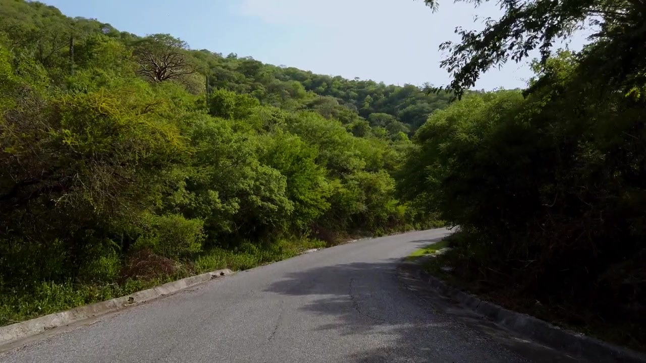 Strada asfaltata che curva tra rigogliose colline verdi e fitta vegetazione con alberi e arbusti, creando un tranquillo paesaggio rurale sotto un cielo azzurro limpido