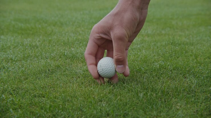 Campo da golf con rugiada e tee