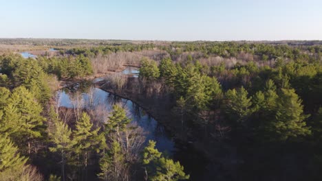 empuje en la vista del río drone rodeado de bosques y árboles en la hora dorada highlands02