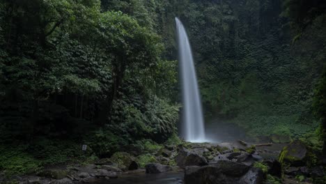 majestic waterfall in lush rainforest