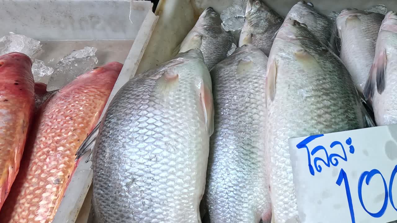 secuencia de variedad de mariscos en un puesto de mercado.