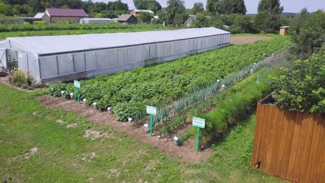 vegetable garden with greenhouse