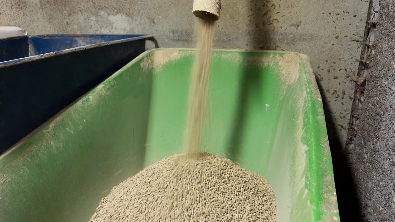 Animal feed being processed in a farm, showcasing modern agricultural techniques and sustainability, drips into green plastic wheelbarrow