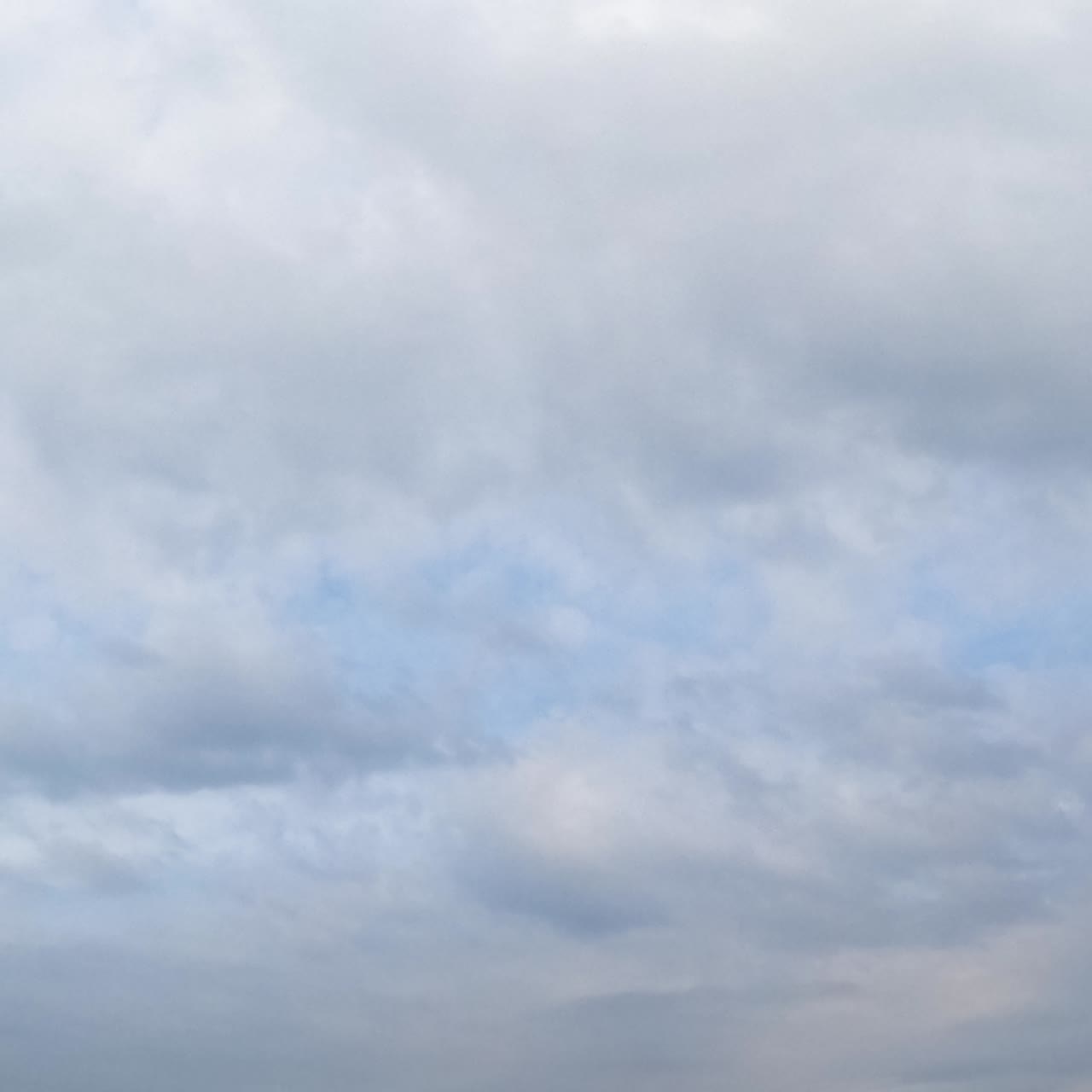 Dense cloudscape spreading around the sky. Grey clouds and rain formation from low angle view. Timelapse