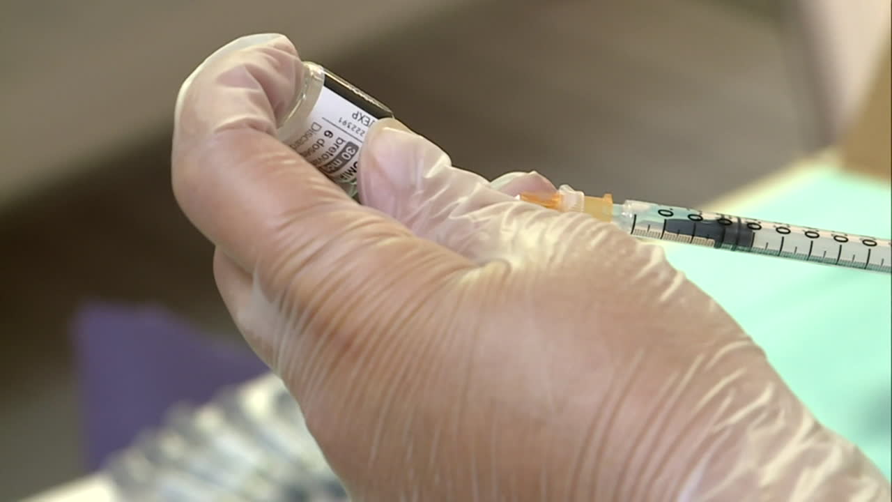 proceso de vacunación