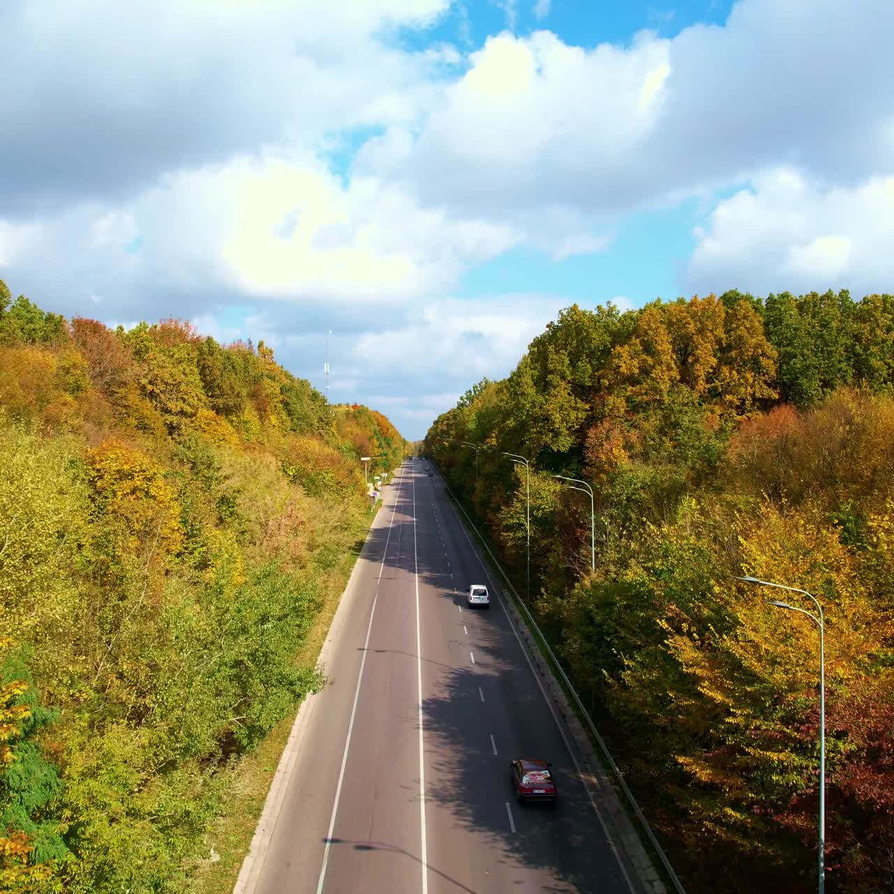 Cars riding by the highway in the woods. Beautiful colorful forest divided by road at the backdrop of cloudy blue sky