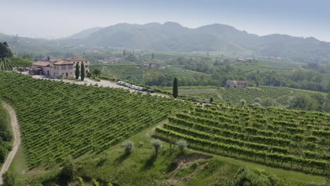 rolling hills of valdobbiadene veneto italy populated by vineyards arranged on terraces