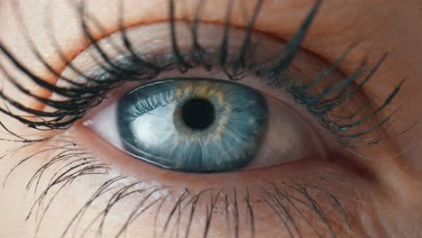 primer plano del ojo de una mujer.