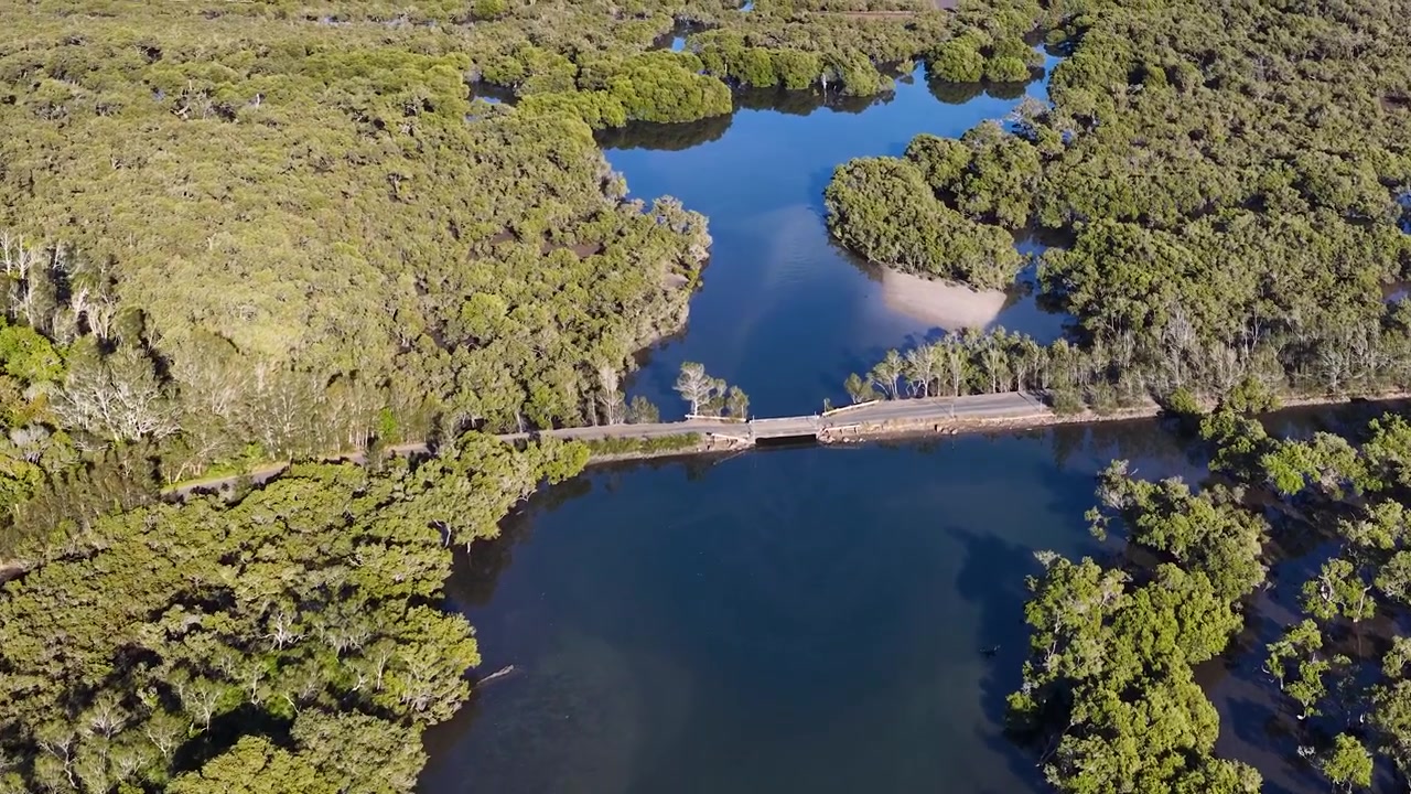 Ripresa con drone dall'alto di un fiume tortuoso attraverso fitte mangrovie a South West Rocks, Australia