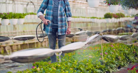 Pesticide-Sprayed-On-Flowering-Plants-At-Greenhouse-9