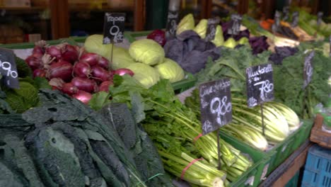 Pan-over-fresh-produce-of-vegetables-at-organic-farmers-market