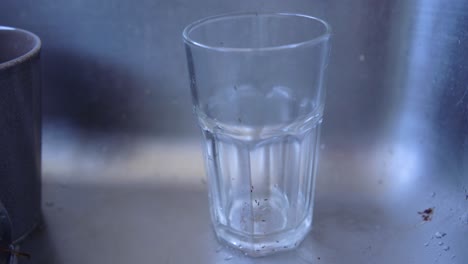 monomorium ants drink from the drop of tea left in a clear glass cup