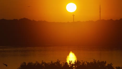 Roter-Bunter-Sonnenuntergang-über-Der-Inselküste-Von-Texel-Mit-Vögeln,-Die-In-Orangefarbenen-Himmel-Fliegen,-Niederlande
