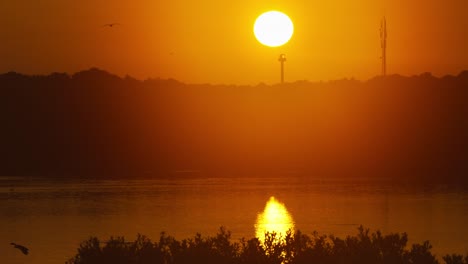 red colorful sunset over texel island coast with birds flying in orange sky, netherlands